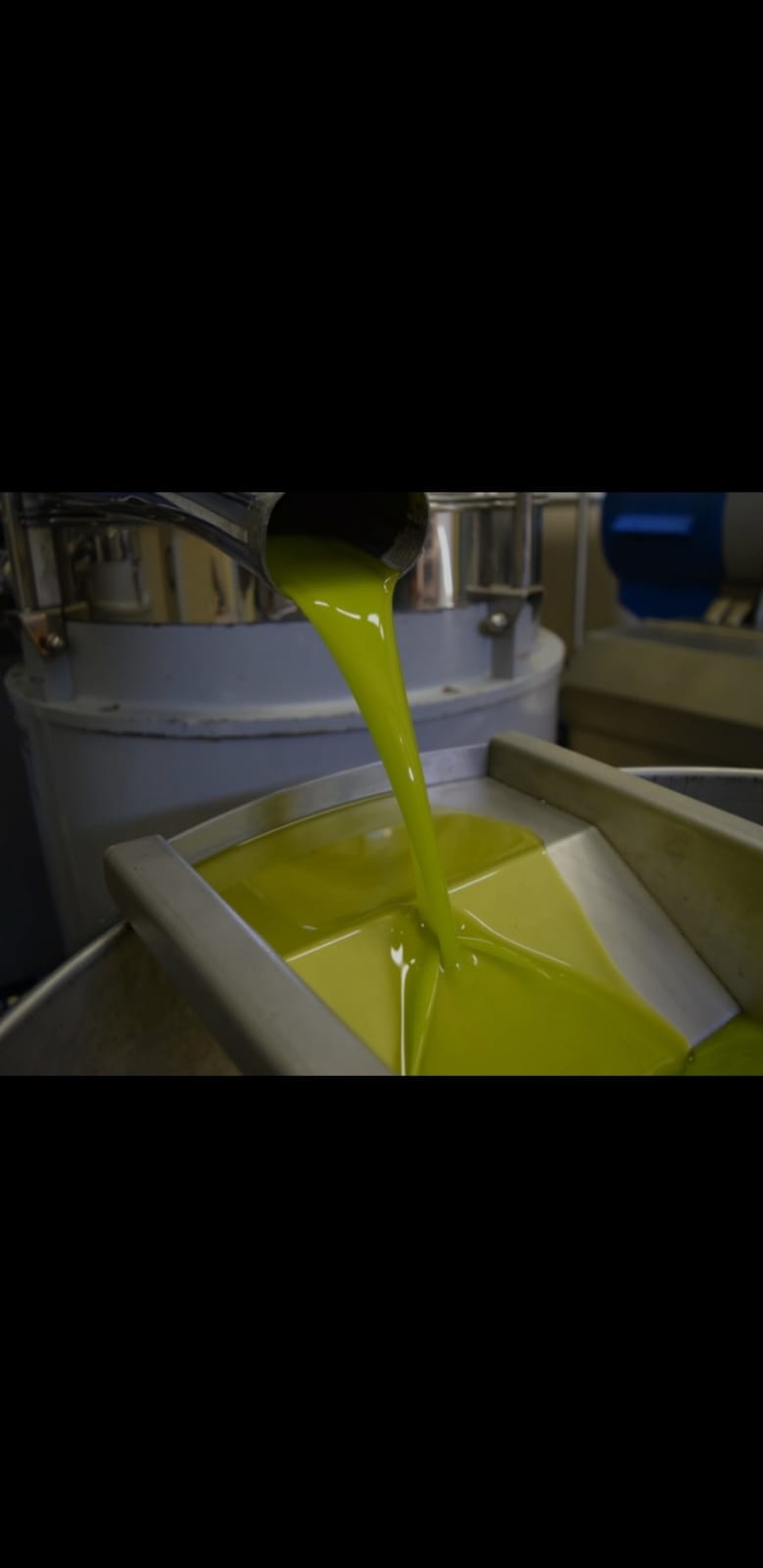 Olio Extravergine D'oliva 10 litri 2025/26