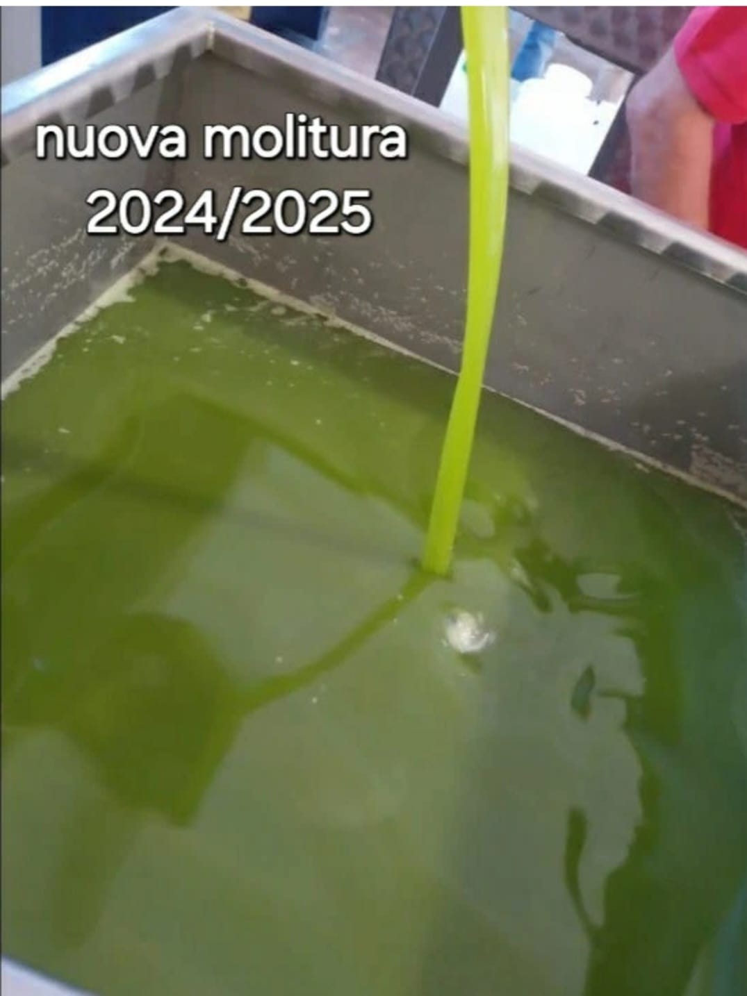 Olio Extravergine d"oliva 2024/25