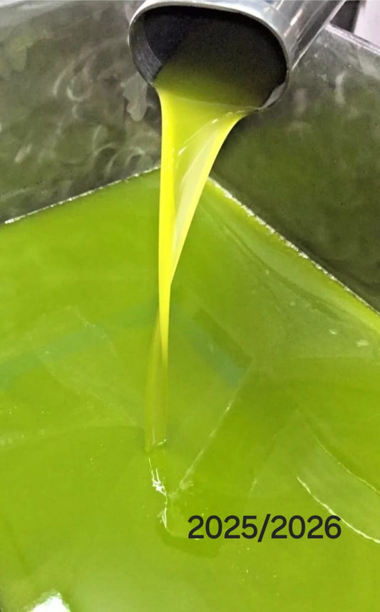 Olio Extravergine D'oliva 10 litri 2025/26